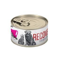 فیفورا کنسرو ریکاوری سگ و گربه200گرم